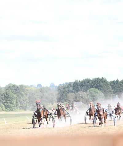 L'Hippodrome de Dozulé, situé dans le Calvados, obtient la labellisation EquuRES à l’échelon engagement !