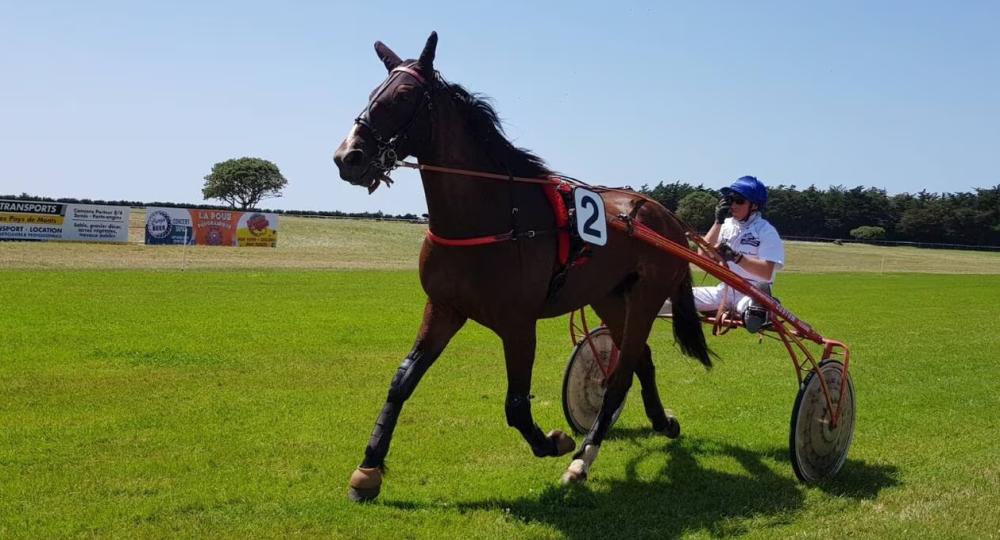 L'Hippodrome de l'Atlantique à Saint - Jean - de - Monts se labellise EquuRES