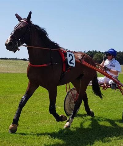 L'Hippodrome de l'Atlantique à Saint - Jean - de - Monts se labellise EquuRES