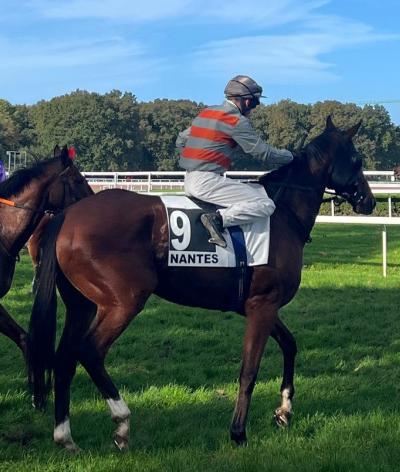 L'Hippodrome de Nantes, dans le département de la Loire-Atlantique, est labellisé EquuRES à l'échelon Progression pour sa première labellisation