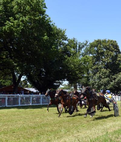 L'hippodrome de Plessé, dans le département de la Loire-Atlantique, se labellise EquuRES