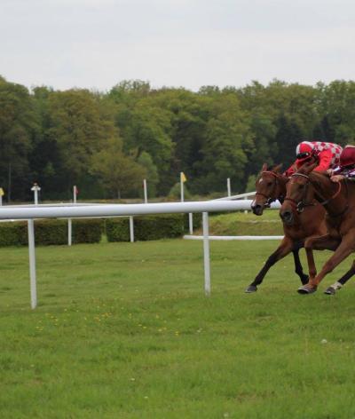L'hippodrome du Haras du Pin se labellise EquuRES Progression pour son évaluation initiale