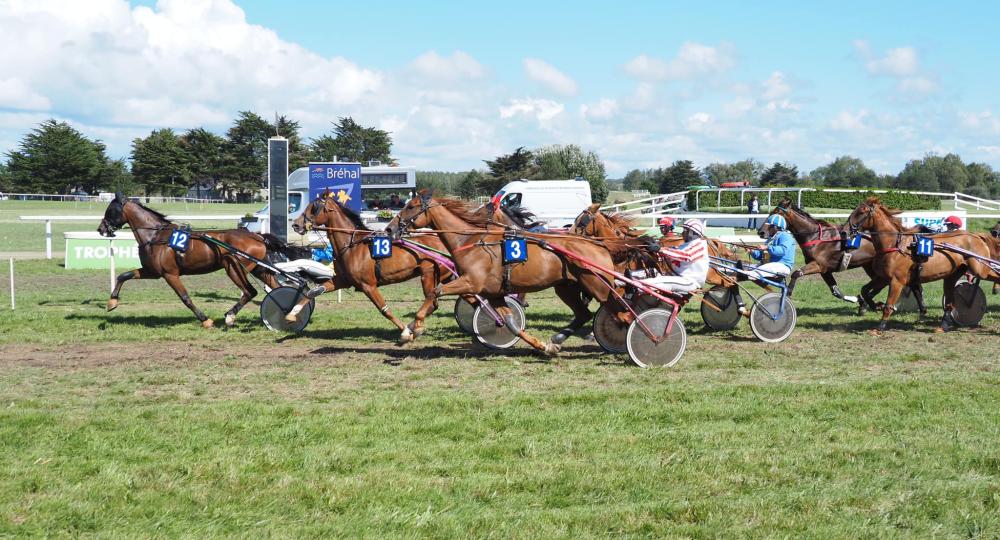 L'hippodrome de Bréhal, dans la Manche, se labellise EquuRES à l'échelon Engagement