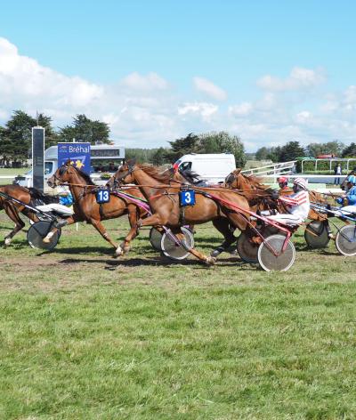 L'hippodrome de Bréhal, dans la Manche, se labellise EquuRES à l'échelon Engagement