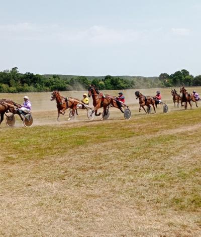 L'hippodrome de la Gacilly, dans le Morbihan, se labellise EquuRES bien-être animal et environnement