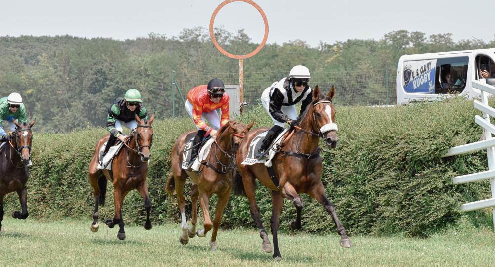 L'Hippodrome de Cluny, en Saône-et-Loire, s'engage en faveur de l'environnement et du bien-être animal en se labellisant EquuRES