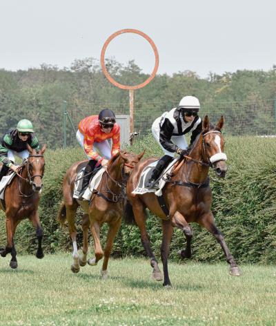 L'Hippodrome de Cluny, en Saône-et-Loire, s'engage en faveur de l'environnement et du bien-être animal en se labellisant EquuRES