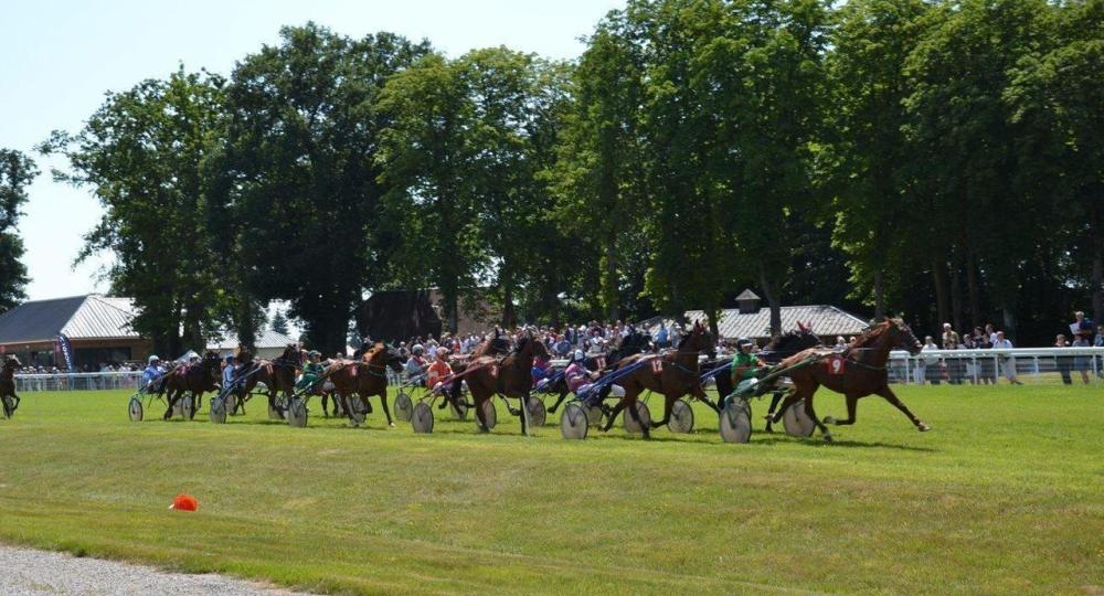 L'Hippodrome de Bernay, dans le département de l'Eure en Normandie, s'engage en faveur de l'environnement et obtient la labellisation EquuRES