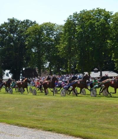 L'Hippodrome de Bernay, dans le département de l'Eure en Normandie, s'engage en faveur de l'environnement et obtient la labellisation EquuRES