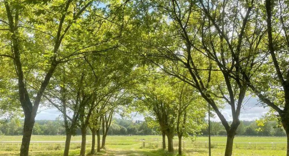 L'Hippodrome de Vic Fezensac se labellise EquuRES à l'échelon Engagement