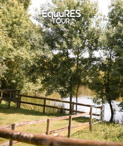Retour sur l’EquuRES Tour en région Centre-Val de Loire : des échanges riches autour du bien-être équin