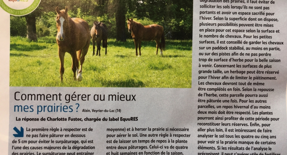 Le Label EquuRES dans le Cheval Pratique d'octobre 2019