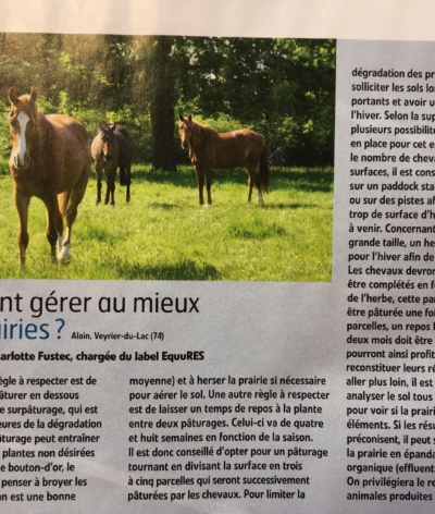 Le Label EquuRES dans le Cheval Pratique d'octobre 2019