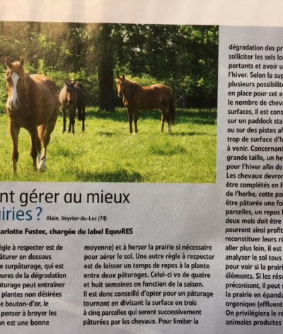 Le Label EquuRES dans le Cheval Pratique d'octobre 2019