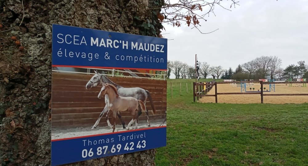 La SCEA Marc'h Maudez, premier élevage labellisé EquuRES en Bretagne