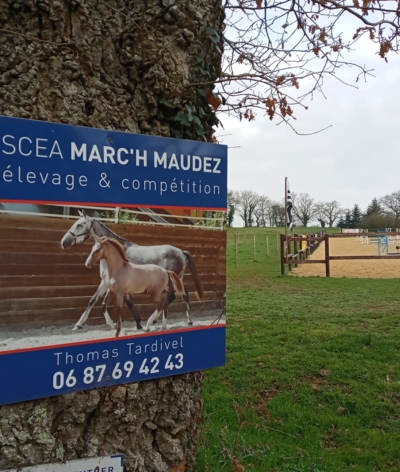 La SCEA Marc'h Maudez, premier élevage labellisé EquuRES en Bretagne