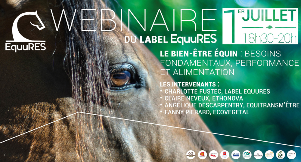 Les replays du webinaire sur le bien-être organisé par le label EquuRES sont en ligne