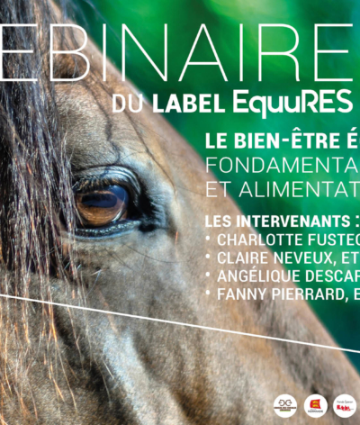 Le label EquuRES organise deux évènement autour du bien-être du cheval début juillet