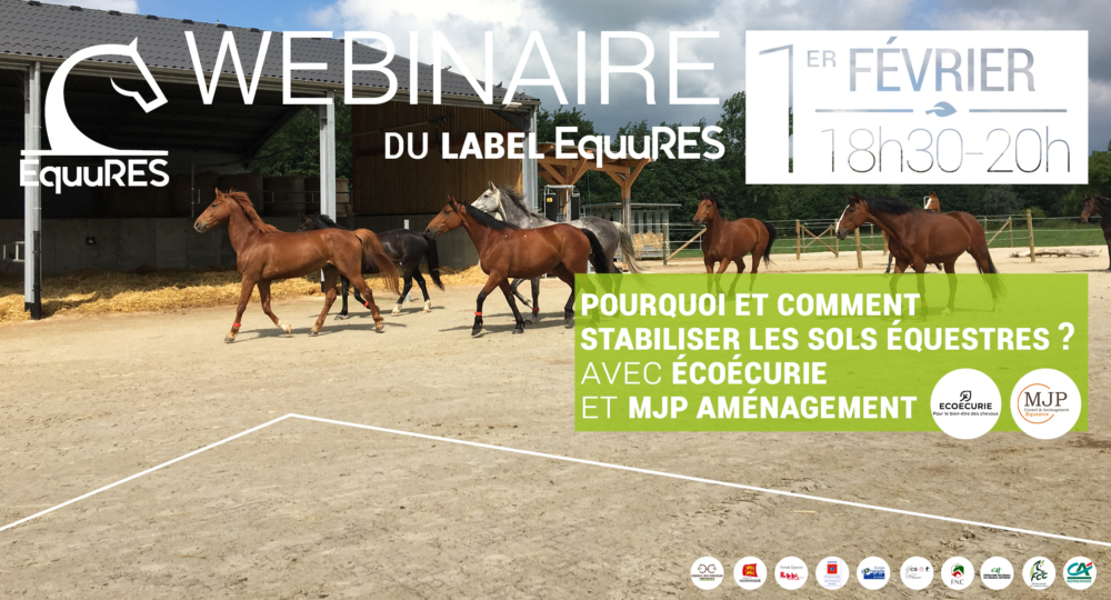 Webinaire « Pourquoi et comment stabiliser les sols équestres » - 1er février 18h30