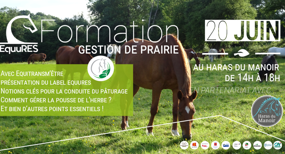 FORMATION SUR LA GESTION DE PRAIRIES LE LUNDI 20 JUIN AU HARAS DU MANOIR (14)