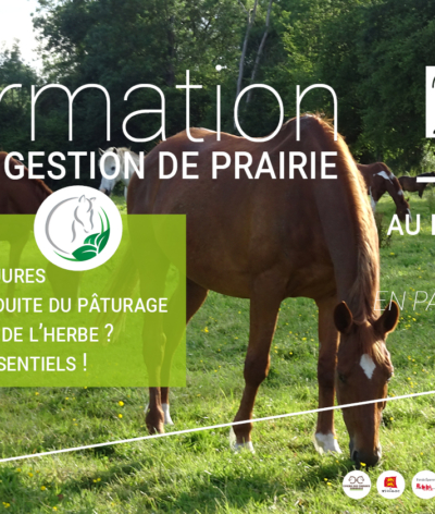 FORMATION SUR LA GESTION DE PRAIRIES LE LUNDI 20 JUIN AU HARAS DU MANOIR (14)