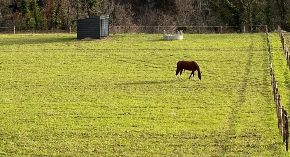 Le Domaine Equestre des Pialoux, situé dans la Drôme, se labellise EquuRES au niveau Engagement