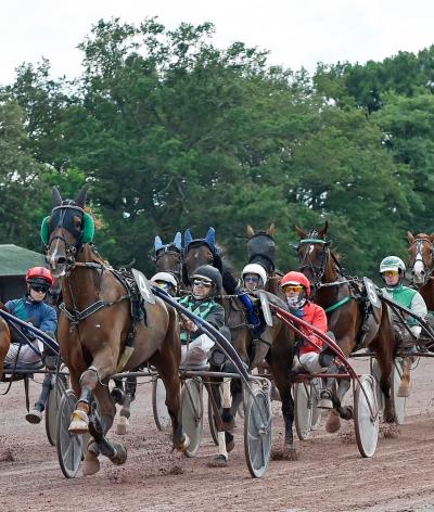 L'Hippodrome des Hunaudières, situé au Mans, labellisé EquuRES à l'échelon engagement !