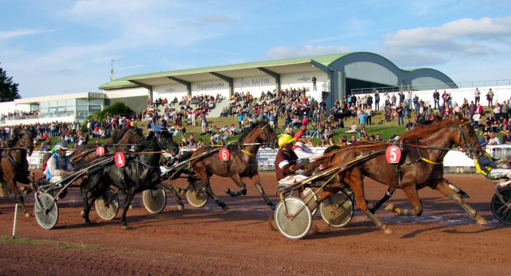 L'Hippodrome Eric Raffin de Challans, en Vendée, est labellisé EquuRES à l'échelon Engagement !