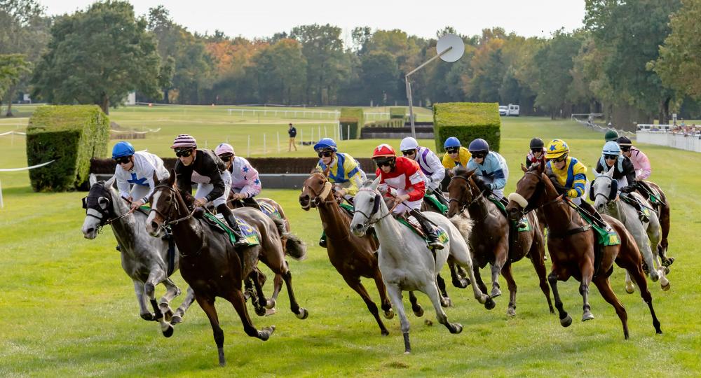 L'Hippodrome de Niort dans les Deux-Sèvres est labellisé EquuRES à l'échelon engagement !