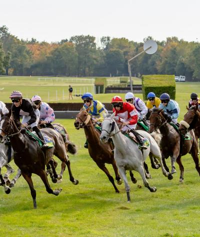 L'Hippodrome de Niort dans les Deux-Sèvres est labellisé EquuRES à l'échelon engagement !