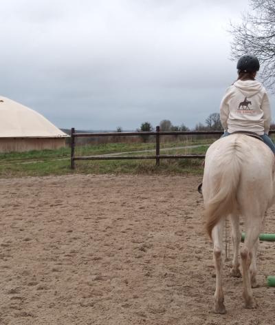 TIPI RANCH, écurie active située dans la Manche, renouvelle sa labellisation à l'échelon Progression !