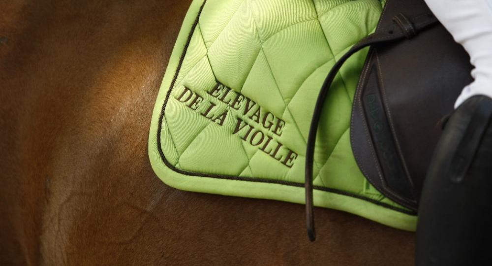 La Jumenterie de la Violle, dans les Vosges, obtient sa labellisation EquuRES à l'échelon Progression !
