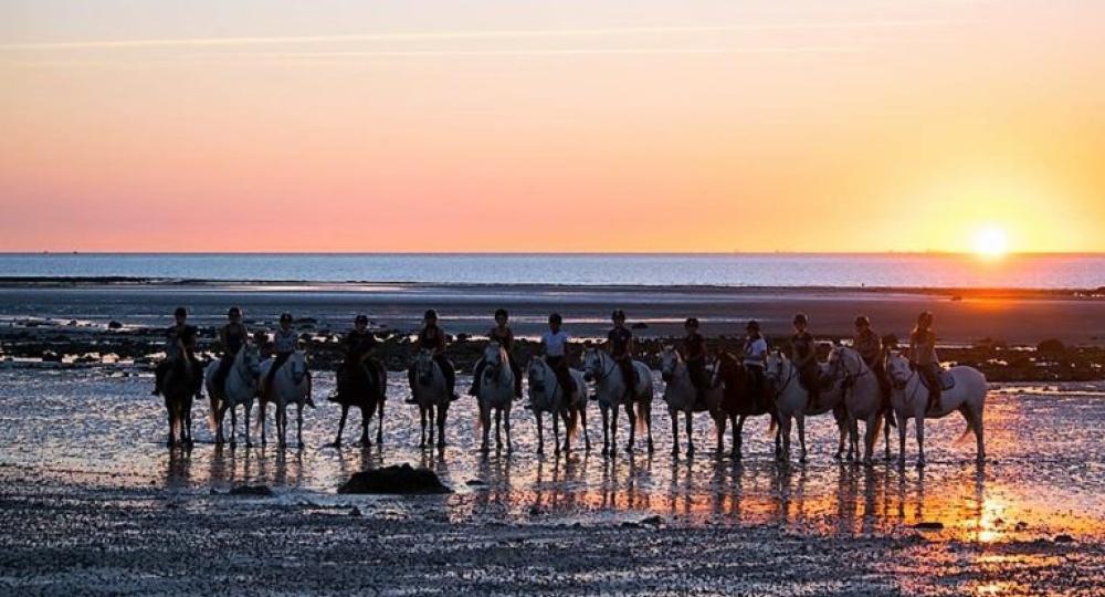 Le poney club d'Incarville est labellisé à l'échelon engagement