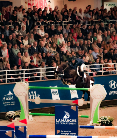 Indoor et bien-être, quelques clés pour diminuer le stress des chevaux avec le label EquuRES