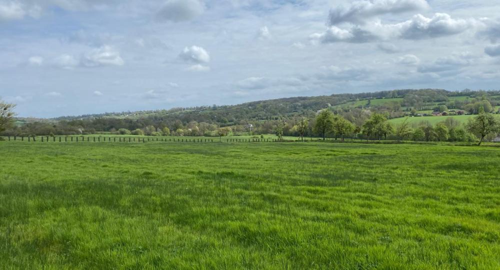 Retour sur la formation biodiversité avec l'ANBDD