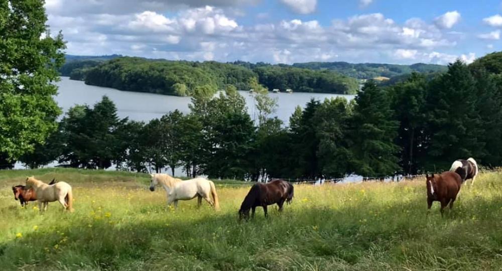 La ferme Equestre de Cantalès dans le Cantal obtient la labellisation EquuRES