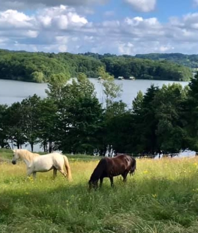 La ferme Equestre de Cantalès dans le Cantal obtient la labellisation EquuRES