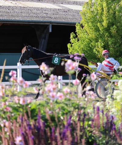 L'hippodrome d'Amiens, dans la Somme, labellisé EquuRES à l'échelon engagement