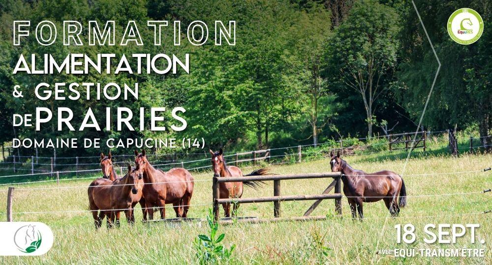 Formation alimentation et gestion de prairies
