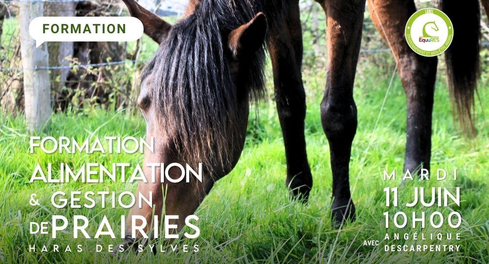 Retour sur la formation alimentation et gestion de prairies