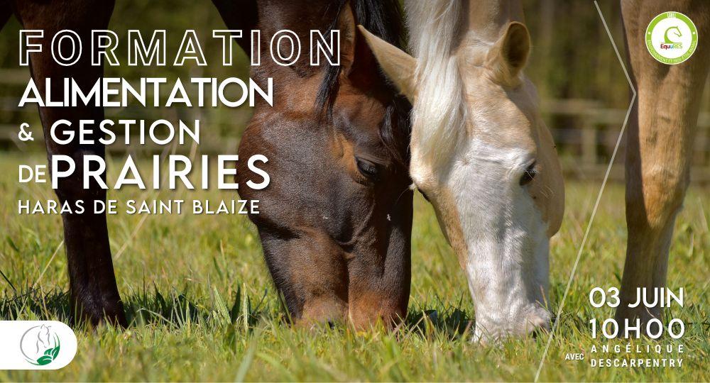 Formation alimentation et gestion de prairies