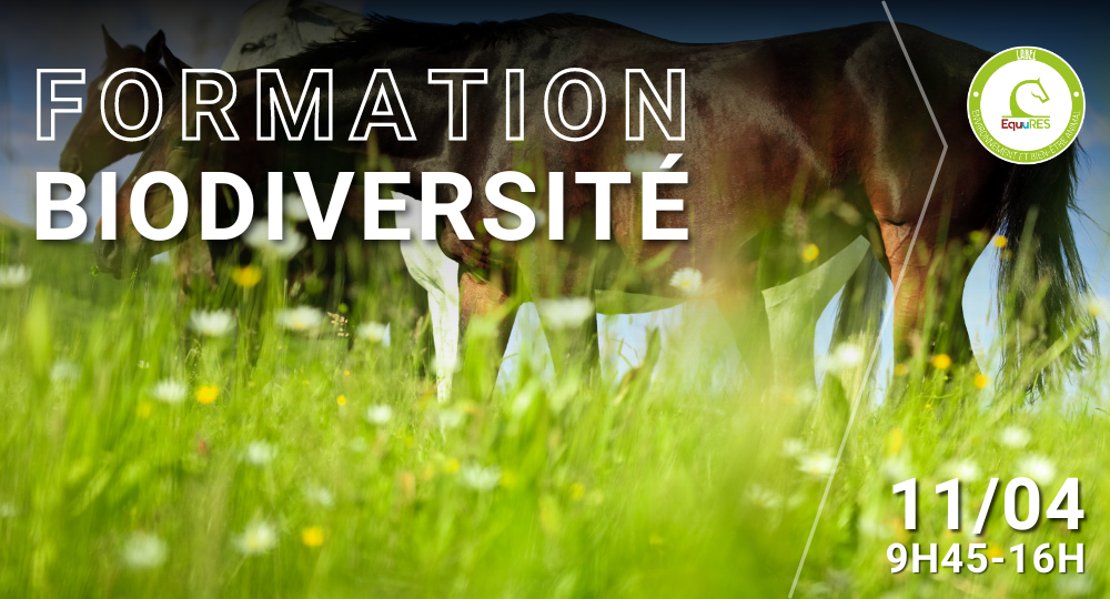 Formation Biodiversité