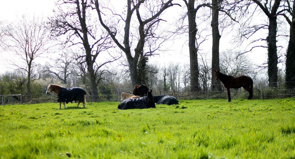 Débuter l'année sous le signe de l'écoresponsabilité : 4 gestes simples à adopter