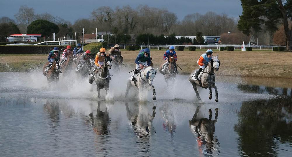 L'Hippodrome de Pau s'engage pour l'environnement et le bien-être