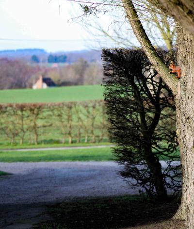 Aménager ses installations pour la faune sauvage : conseils pratiques