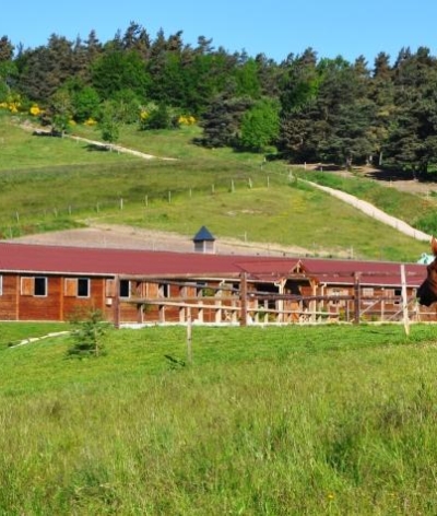 Le Haras de l'Hermet, première structure labellisée de Haute-Loire.