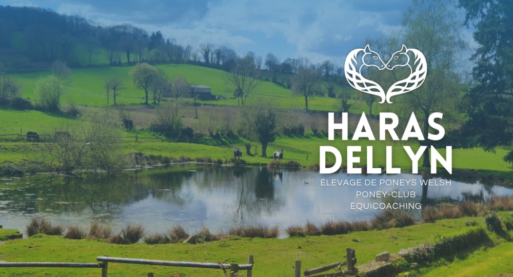 Le Haras Dellyn, un nouveau centre équestre dans la Manche, labellisé EquuRES