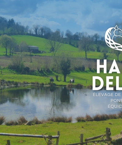 Le Haras Dellyn, un nouveau centre équestre dans la Manche, labellisé EquuRES