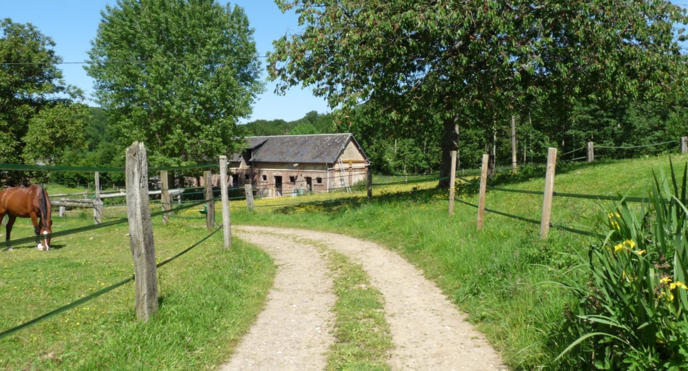 Le Haras des Jonquilles (76), vient d'être labellisé EquuRES