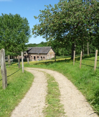 Le Haras des Jonquilles (76), vient d'être labellisé EquuRES